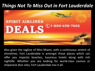 Things Not To Miss Out in Fort Lauderdale