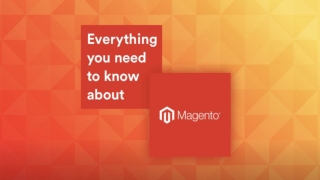 Everything you Need to Know about Magento