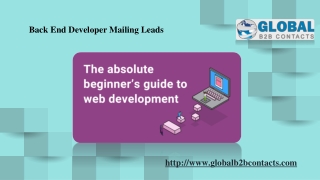 Back End Developer Mailing Leads