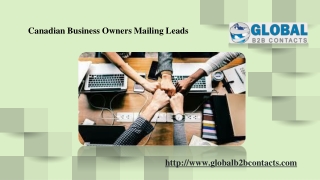 Canadian Business Owners Mailing Leads