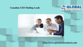 Canadian CEO Mailing Leads