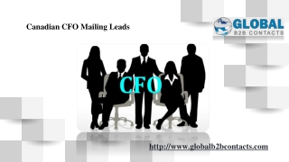 Canadian CFO Mailing Leads