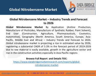 Global Nitrobenzene Market – Industry Trends and Forecast to 2026