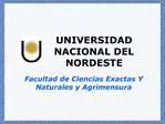 UNIVERSIDAD NACIONAL DEL NORDESTE