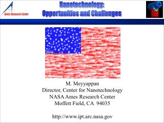 M. Meyyappan Director, Center for Nanotechnology NASA Ames Research Center Moffett Field, CA 94035 ipt.arc.nasa
