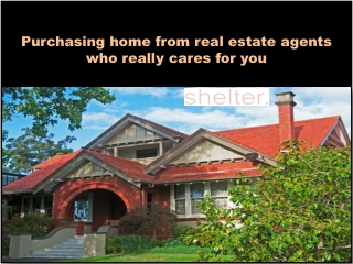 Glen Iris Real Estate Agents | Shelter Real Estate