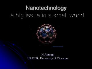 Nanotechnology A big issue in a small world