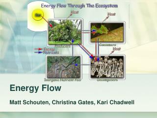 Energy Flow