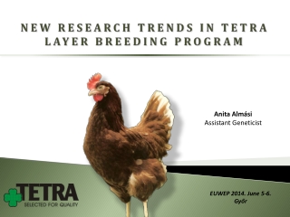 NEW RESEARCH TRENDS IN TETRA LAYER BREEDING PROGRAM