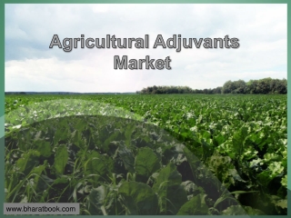 Agricultural Adjuvants Market 