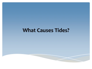 What Causes Tides?