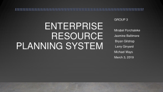 ENTERPRISE RESOURCE PLANNING SYSTEM