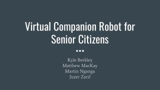 Virtual Companion Robot for Senior Citizens