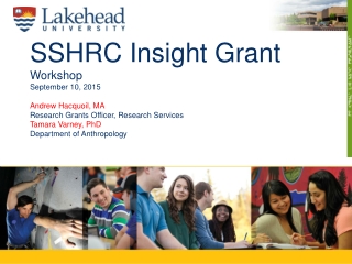 Insight Grants