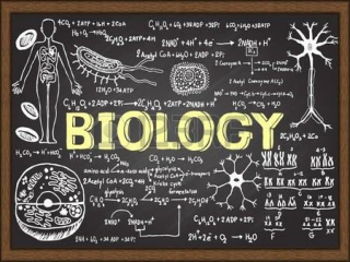 'O' AND 'A' LEVEL BIOLOGY TUITION SINGAPORE