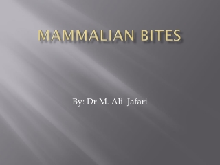 Mammalian Bites