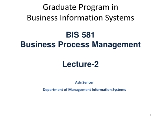 Graduate Program in Business Information Systems