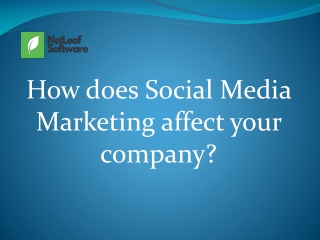 How does Social Media Marketing affect your company?