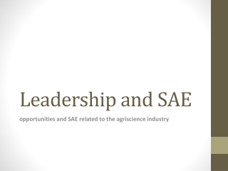 Leadership and SAE