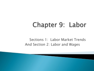 Chapter 9: Labor