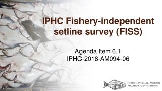 IPHC Fishery-independent setline survey (FISS)