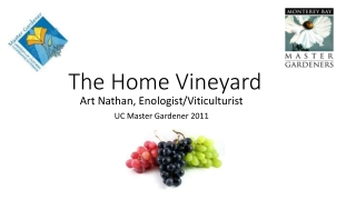 The Home Vineyard