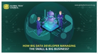 How Big Data Developer Managing The Small & Big Business?