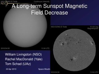 A Long-term Sunspot Magnetic Field Decrease