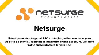 Search Engine Optimization Services - Netsurge