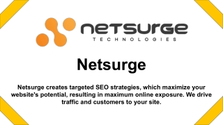 Search Engine Optimization Services - Netsurge