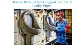 Here is How To Fix Clogged Toilets & Leaky Pipes