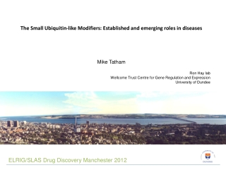 The Small Ubiquitin-like Modifiers: Established and emerging roles in diseases Mike Tatham