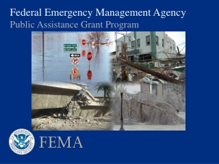 Federal Emergency Management Agency Public Assistance Grant Program