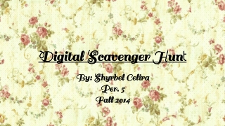 Digital Scavenger Hun t