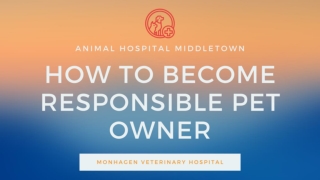 How to Become A Responsible Pet Owner