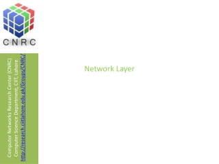 Network Layer