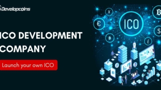 ICO Development Company