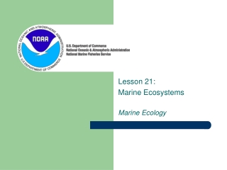 Lesson 21: Marine Ecosystems Marine Ecology