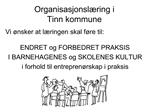 Organisasjonsl ring i Tinn kommune