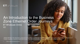 An Introduction to the Business Zone Ethernet Order Journeys