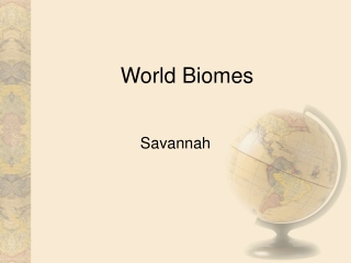 World Biomes