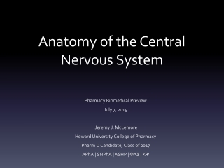 Anatomy of the Central Nervous System