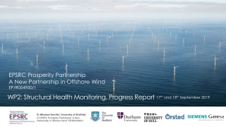 WP2: Structural Health Monitoring, Progress Report