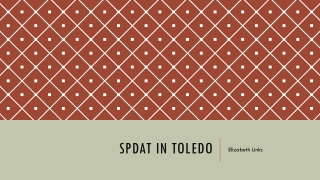 SPDAT in Toledo