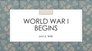 World War I Begins