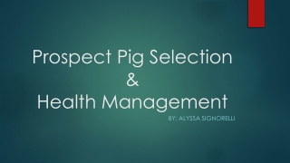 Prospect Pig Selection & Health Management
