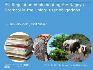 EU Regulation implementing the Nagoya Protocol in the Union: user obligations
