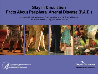 Stay in Circulation Facts About Peripheral Arterial Disease (P.A.D.)