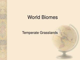 World Biomes