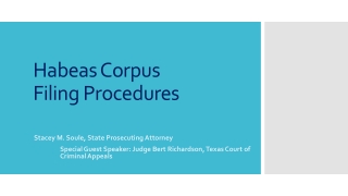 Habeas Corpus Filing Procedures